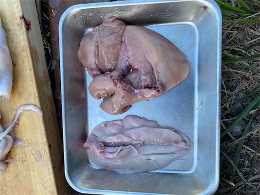 f:id:fishing-camping:20240523225203j:image f:id:fishing-camping:20240523225203j:image