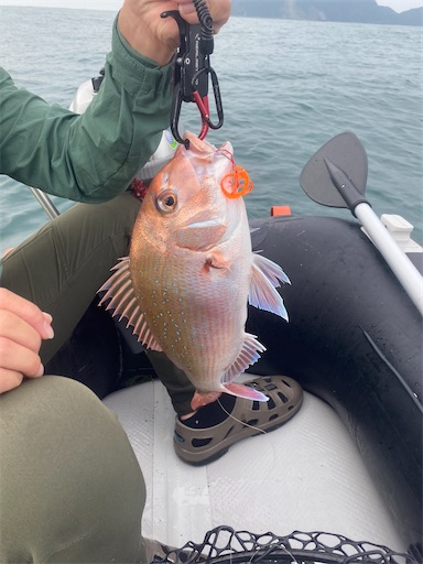 f:id:fishing-camping:20241107220142j:image