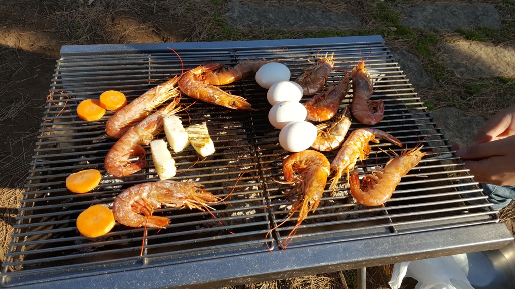 f:id:fishing-go:20170215234213j:plain