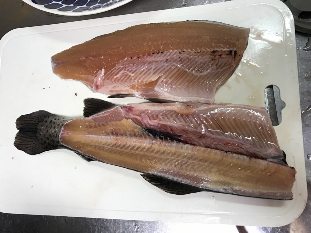 f:id:fishing-go:20170328234302j:plain