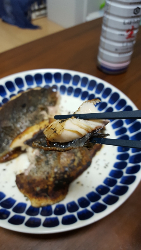 f:id:fishing-go:20170328235143j:plain