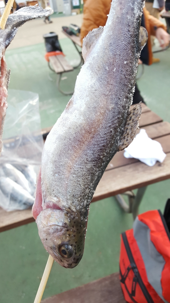 f:id:fishing-go:20170329234852j:plain
