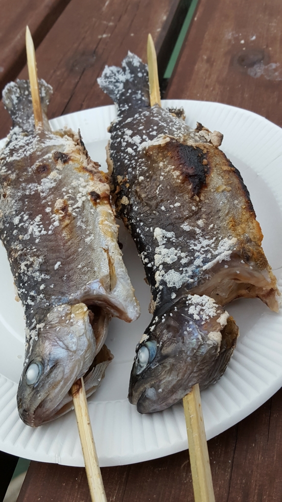 f:id:fishing-go:20170329234946j:plain