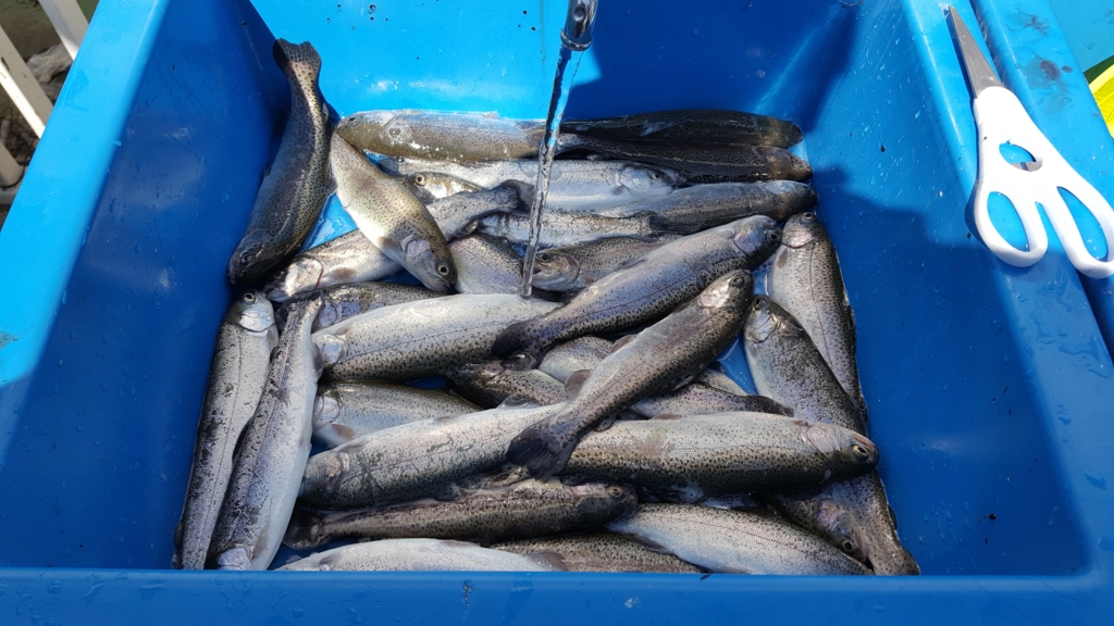 f:id:fishing-go:20170418230013j:plain