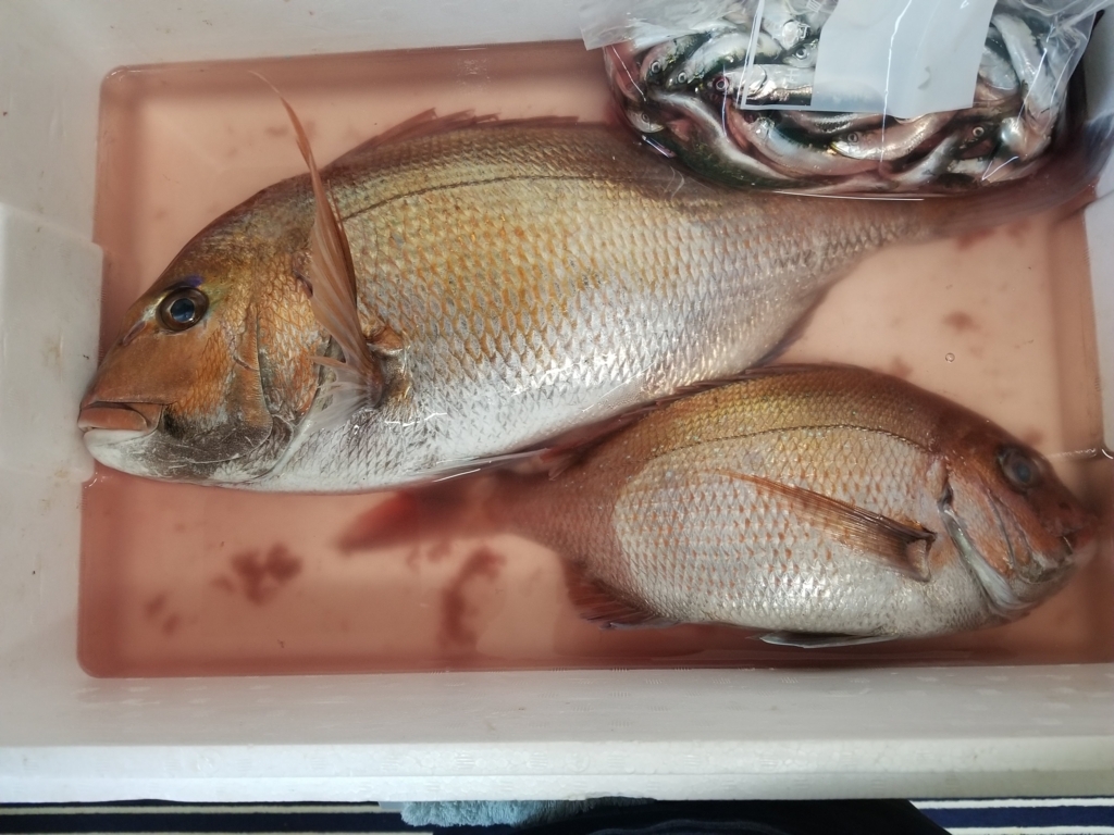 f:id:fishing-go:20180522234532j:plain f:id:fishing-go:20180522234532j:plain
