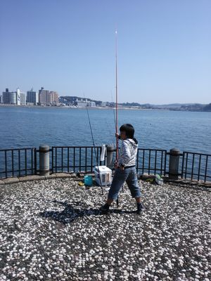 17年7月2日 残念だ 江ノ島オリンピック公園 ほぼ野島防波堤の釣りログ