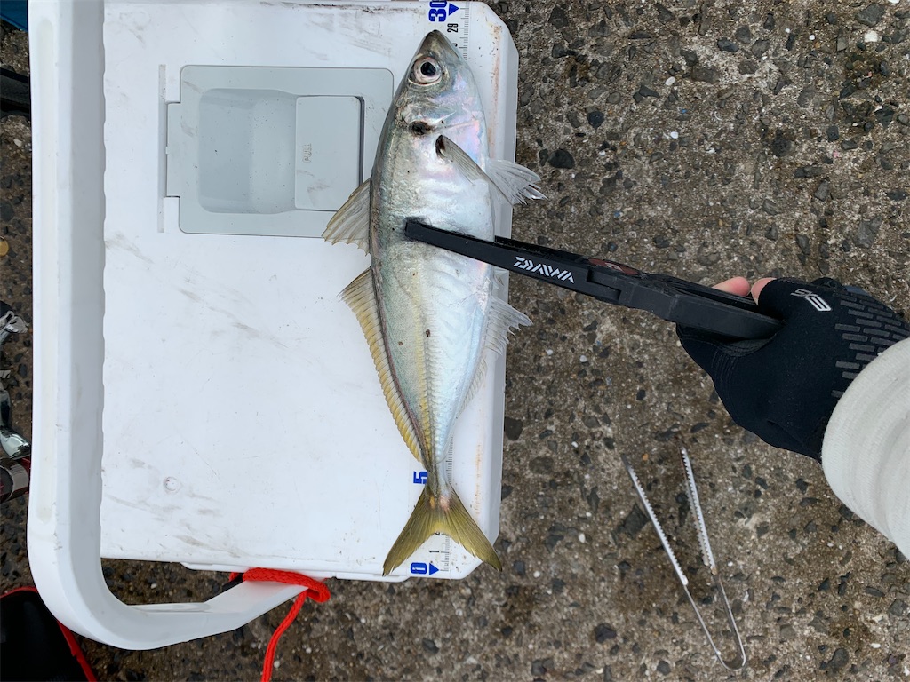 f:id:fishingMonchan:20191209104258j:image f:id:fishingMonchan:20191209104258j:image