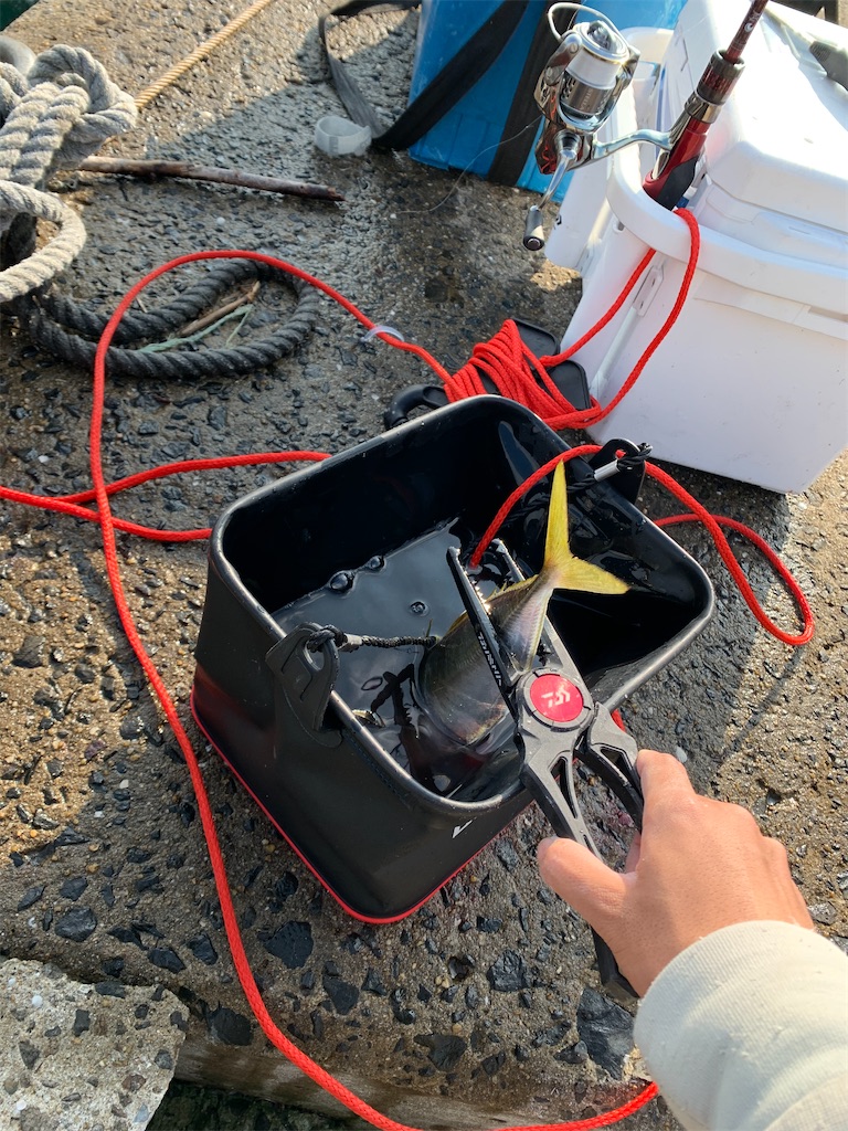f:id:fishingMonchan:20191209110537j:image f:id:fishingMonchan:20191209110537j:image