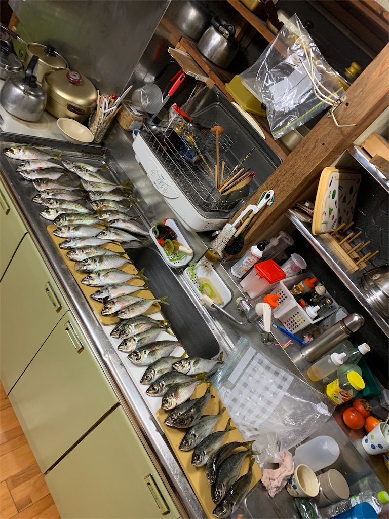 f:id:fishingMonchan:20191209111103j:image f:id:fishingMonchan:20191209111103j:image