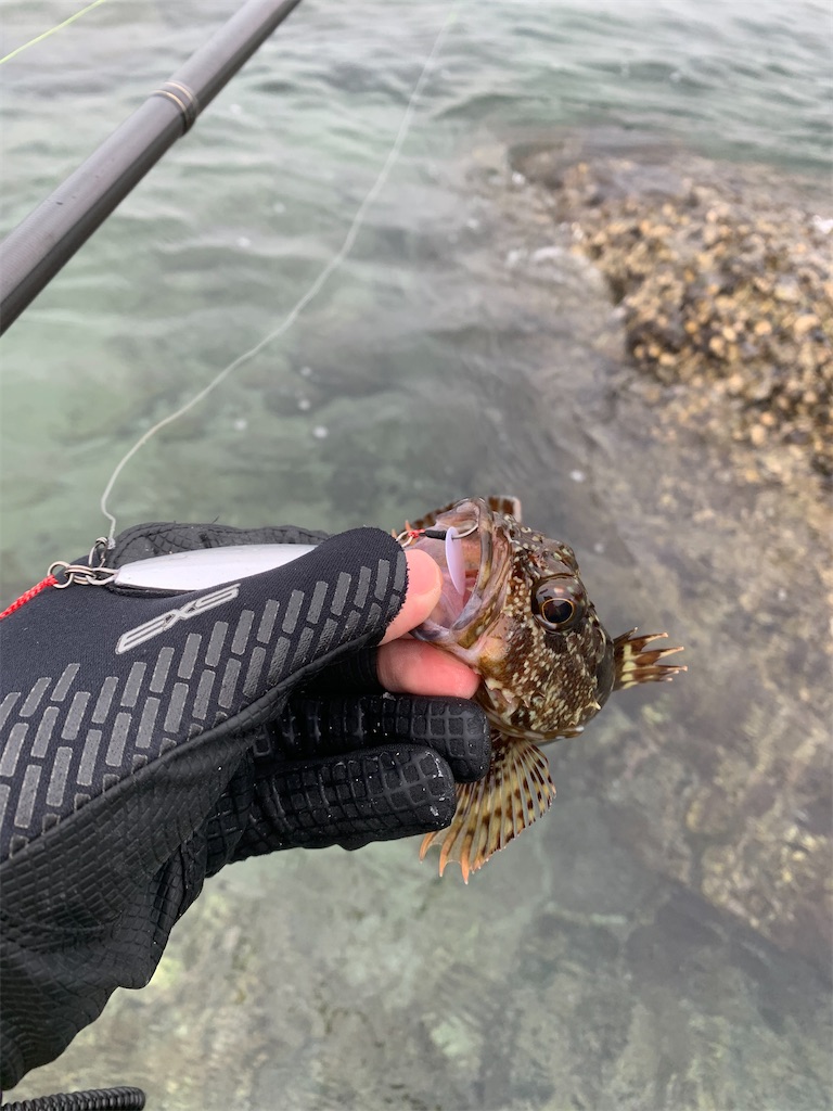 f:id:fishingMonchan:20200126164806j:image f:id:fishingMonchan:20200126164806j:image
