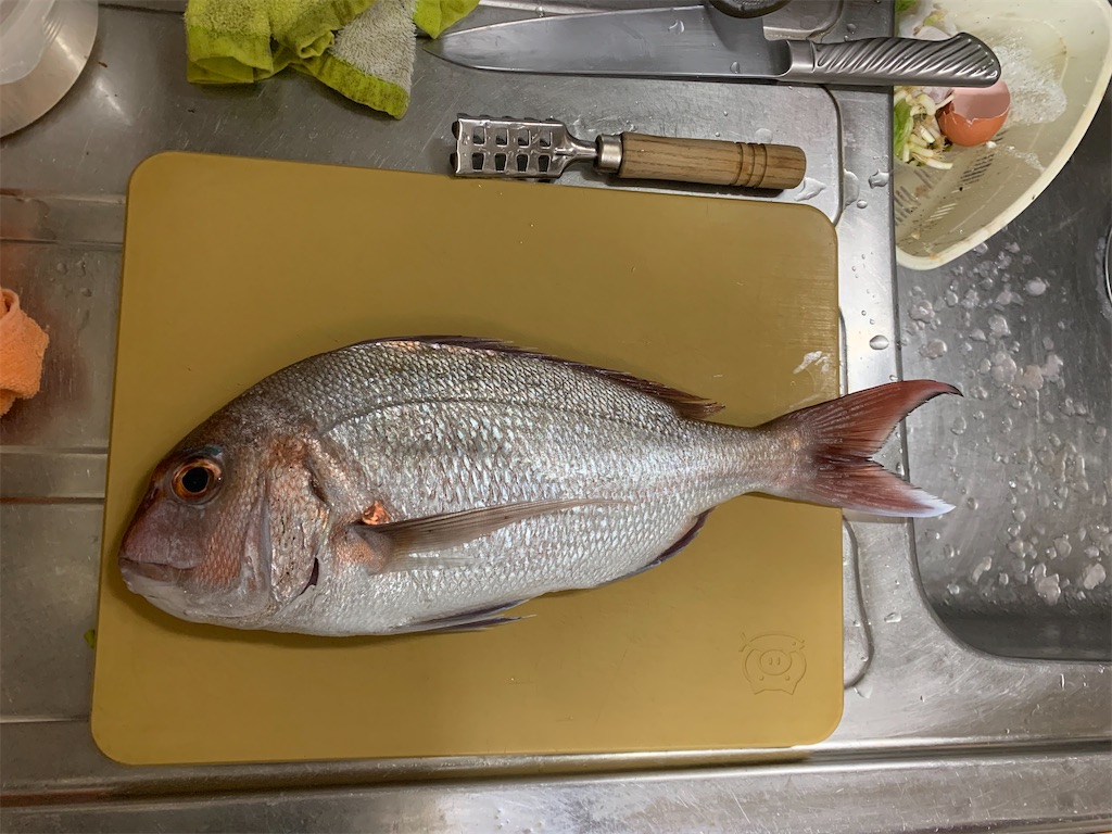 f:id:fishingMonchan:20200126165016j:image f:id:fishingMonchan:20200126165016j:image