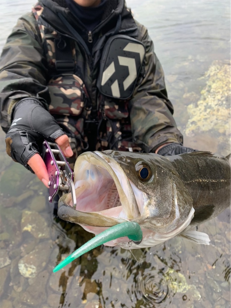 f:id:fishingMonchan:20200126175550j:image f:id:fishingMonchan:20200126175550j:image