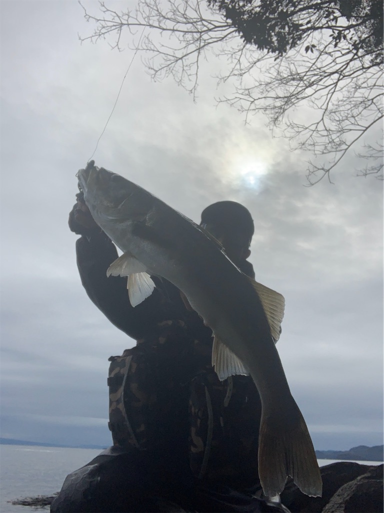 f:id:fishingMonchan:20200126181128j:image f:id:fishingMonchan:20200126181128j:image
