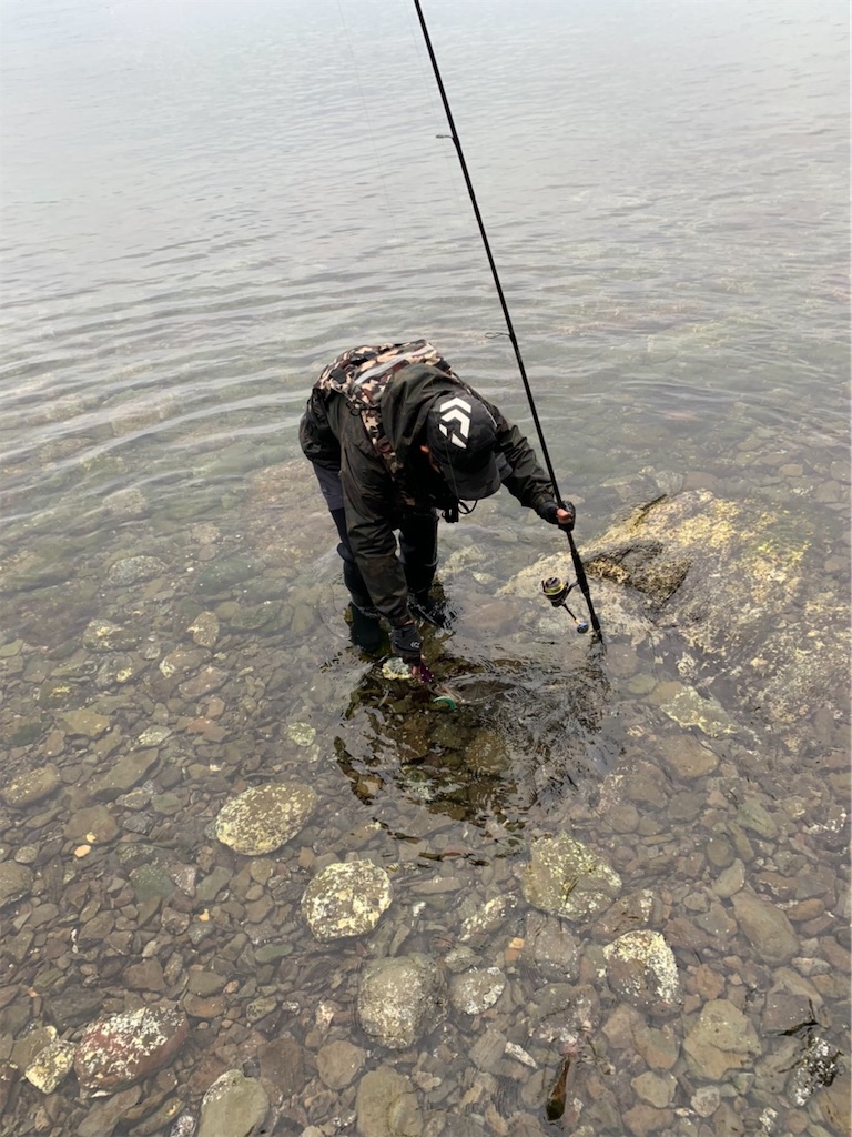 f:id:fishingMonchan:20200126181133j:image f:id:fishingMonchan:20200126181133j:image