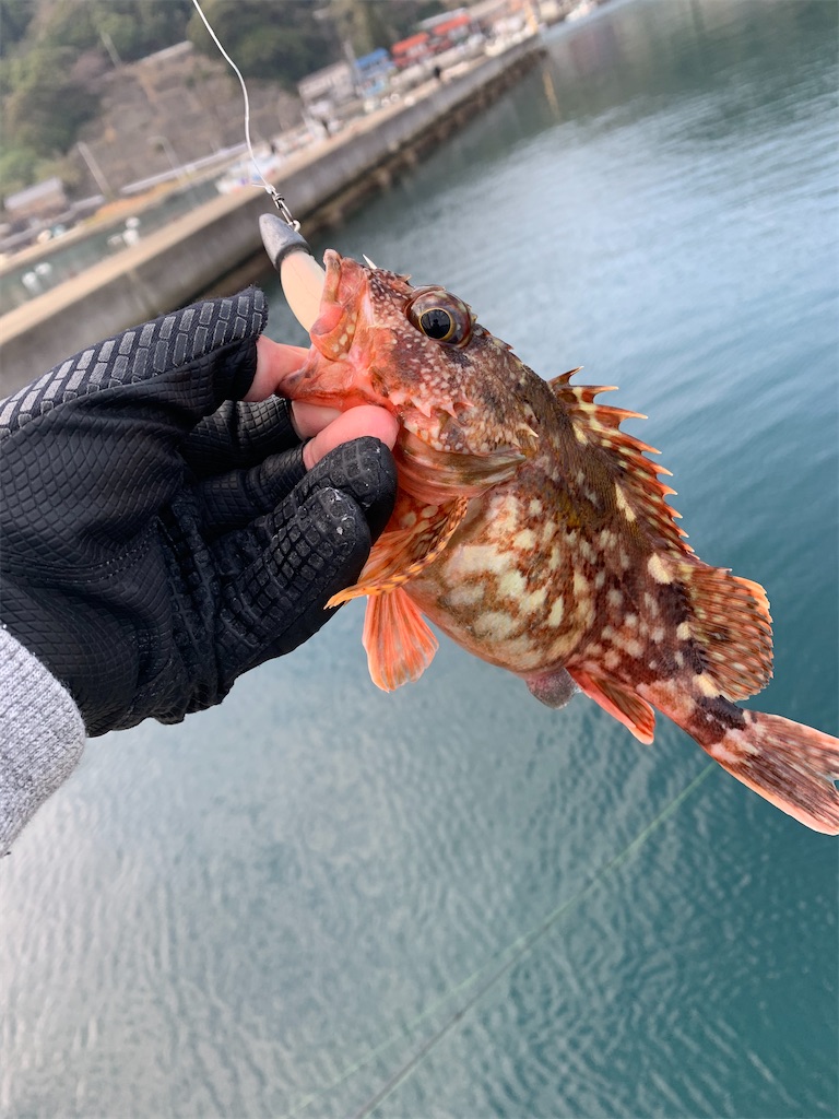 f:id:fishingMonchan:20200203132636j:image f:id:fishingMonchan:20200203132636j:image