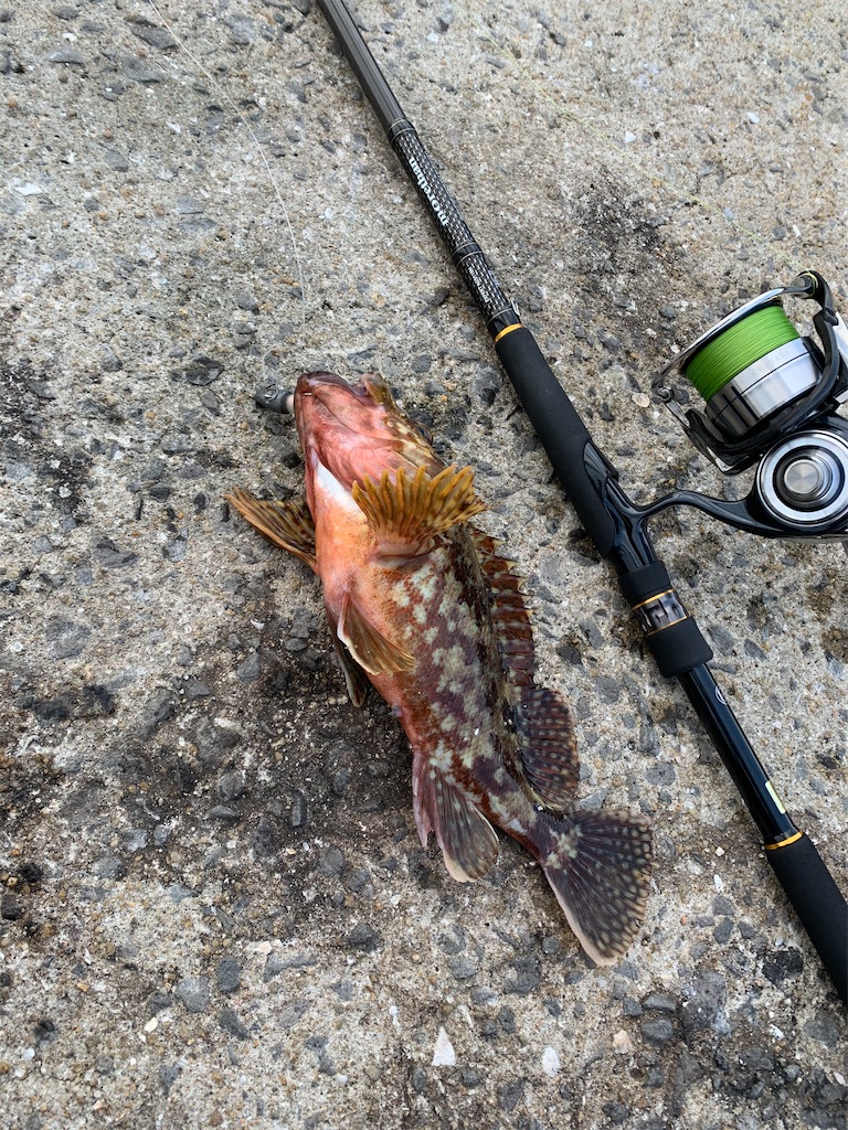 f:id:fishingMonchan:20200203132857j:image f:id:fishingMonchan:20200203132857j:image