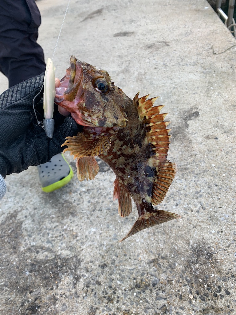 f:id:fishingMonchan:20200203134332j:image f:id:fishingMonchan:20200203134332j:image