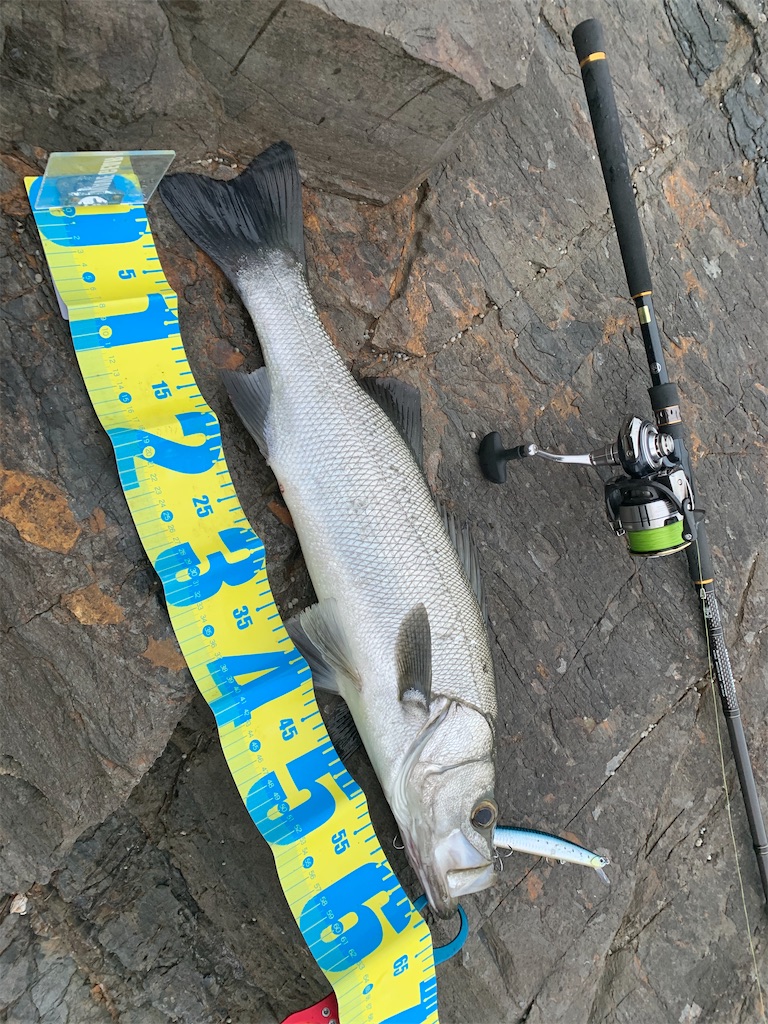 f:id:fishingMonchan:20200315171701j:image f:id:fishingMonchan:20200315171701j:image