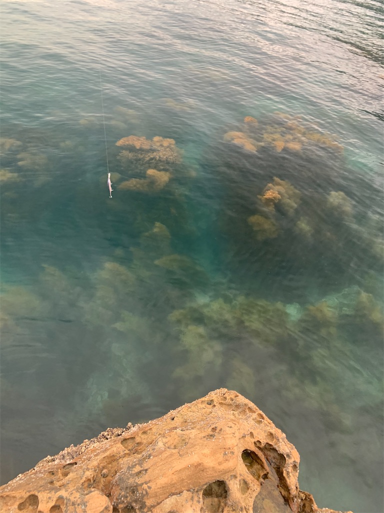 f:id:fishingMonchan:20200620190353j:plain f:id:fishingMonchan:20200620190353j:plain