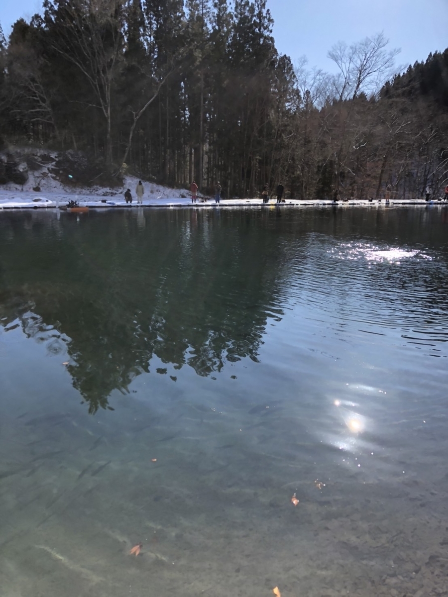 f:id:fishing_tanuki:20220114215243j:plain