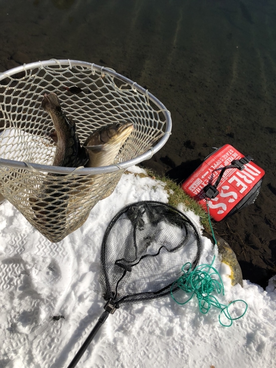 f:id:fishing_tanuki:20220114220507j:plain