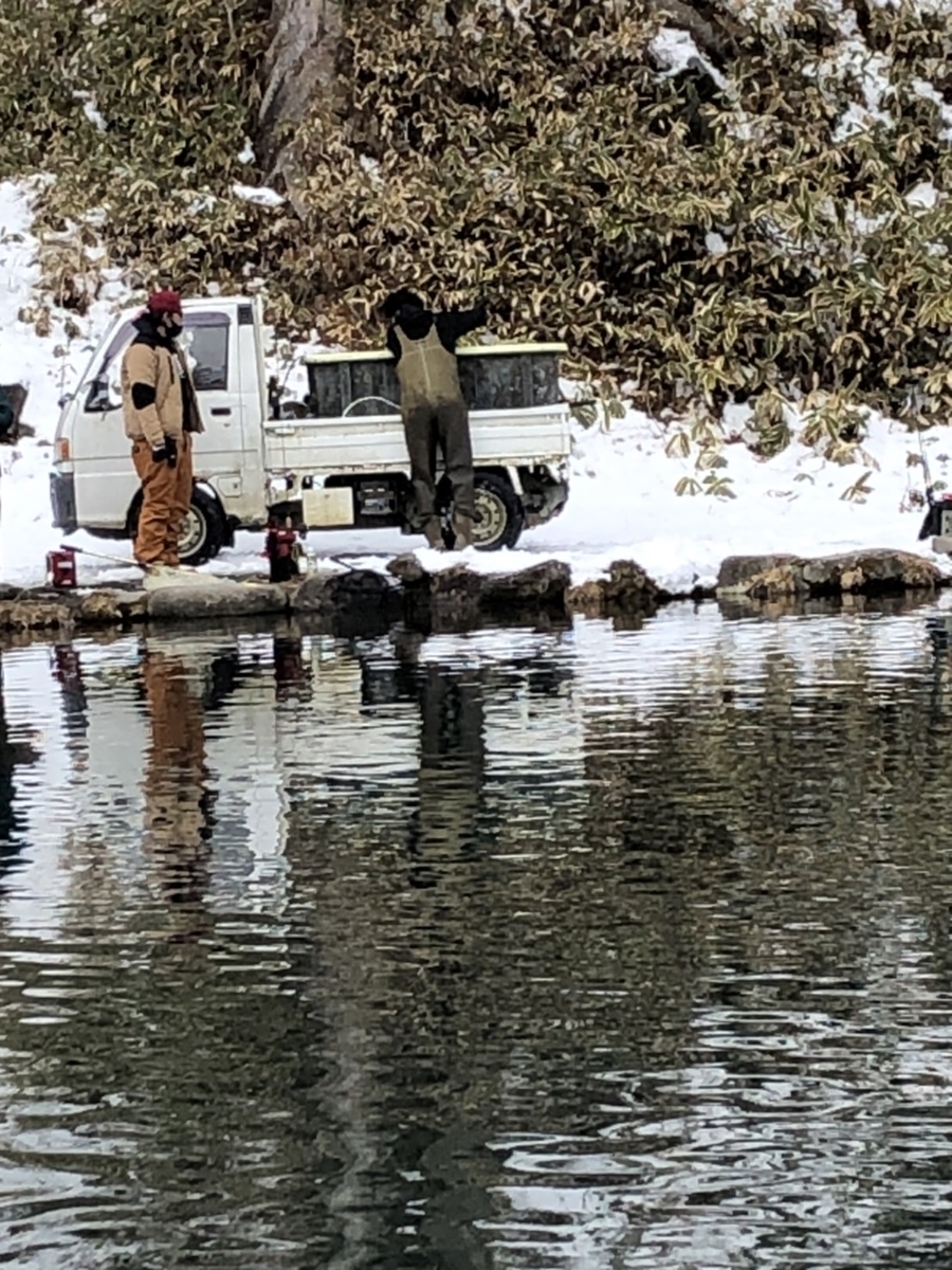 f:id:fishing_tanuki:20220303214729j:plain