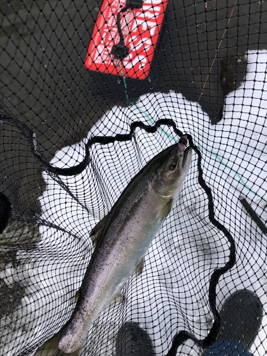 f:id:fishing_tanuki:20220303215538j:plain
