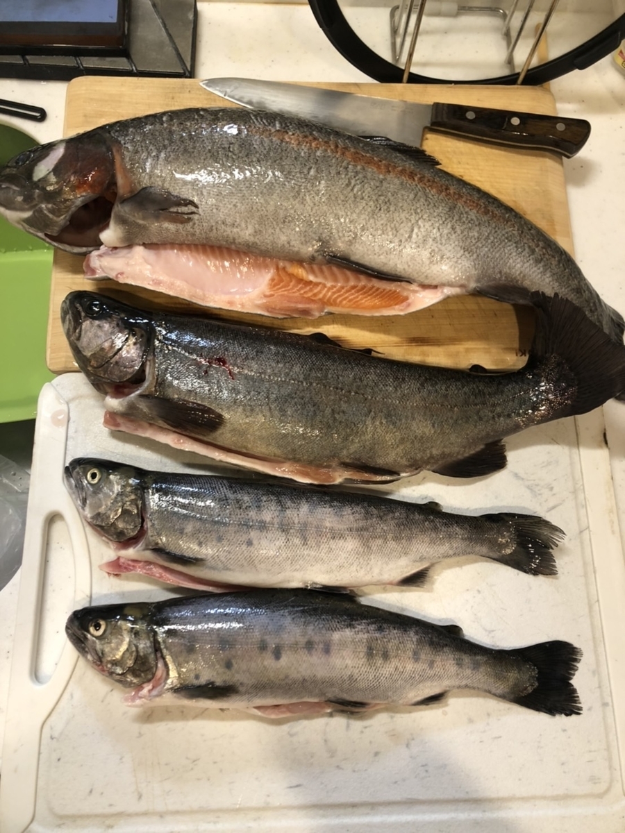 f:id:fishing_tanuki:20220303215805j:plain