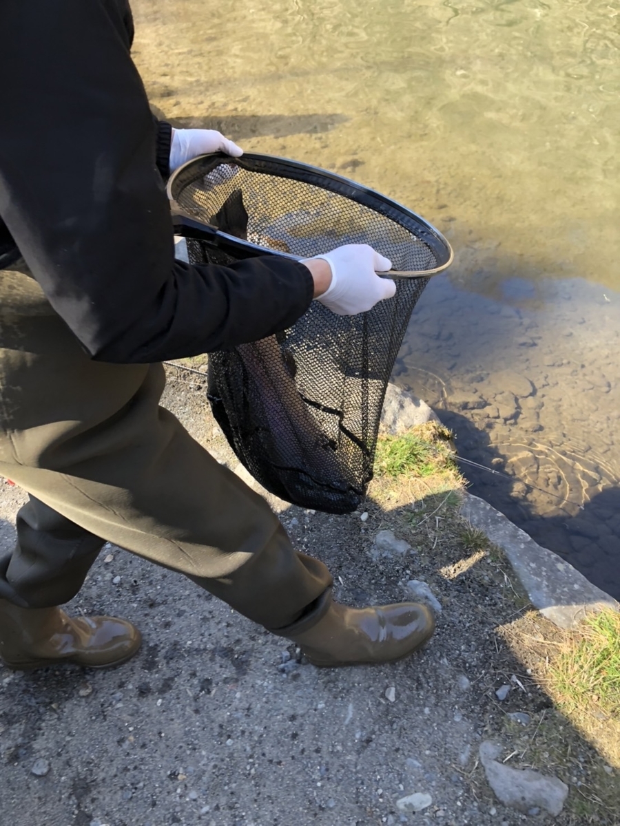 f:id:fishing_tanuki:20220407210303j:plain