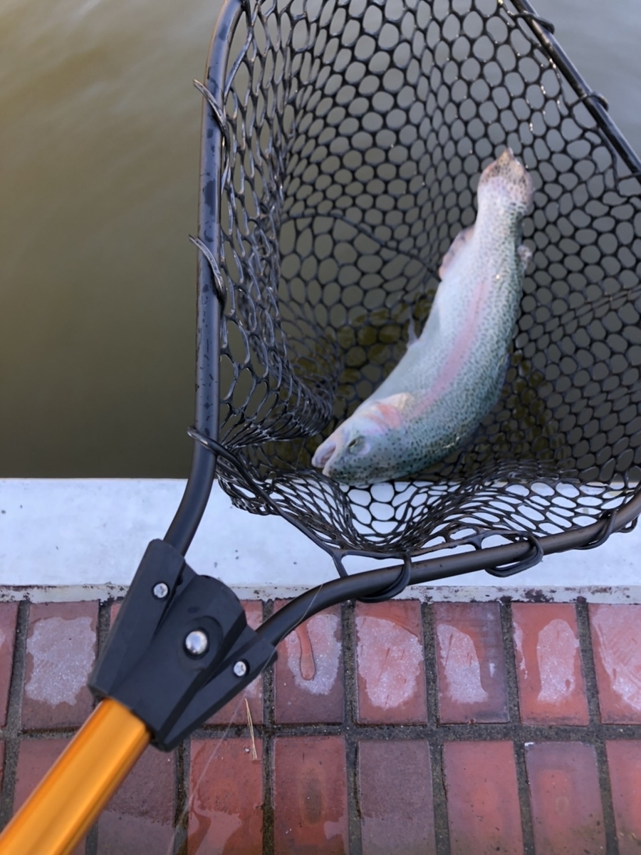 プレッソランディングネット140～大物対応エリアトラウトネット