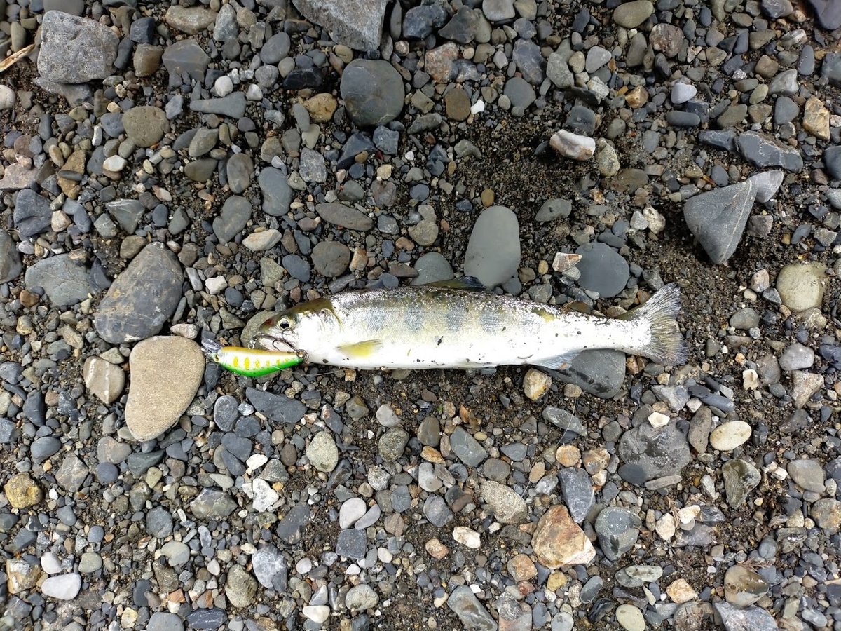 f:id:fishingandcamping:20210405184300j:plain
