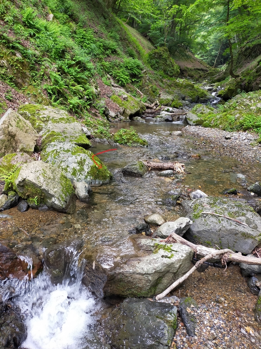 f:id:fishingandcamping:20210729212208j:plain