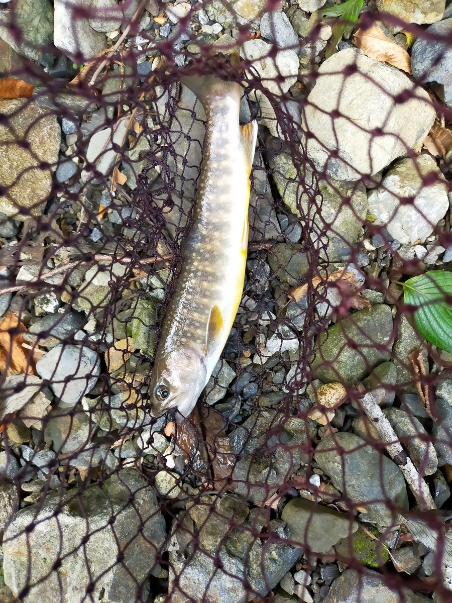 f:id:fishingandcamping:20210809121239j:plain