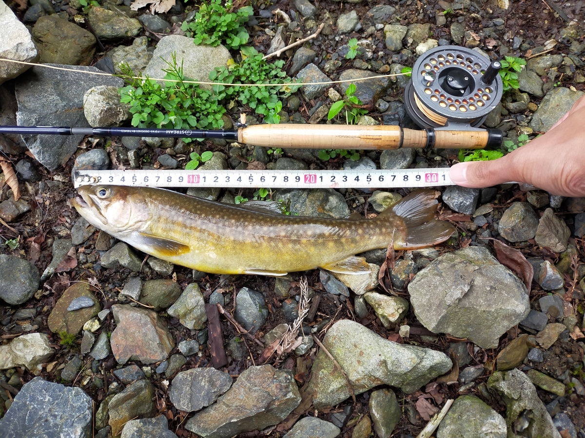 f:id:fishingandcamping:20210809121301j:plain
