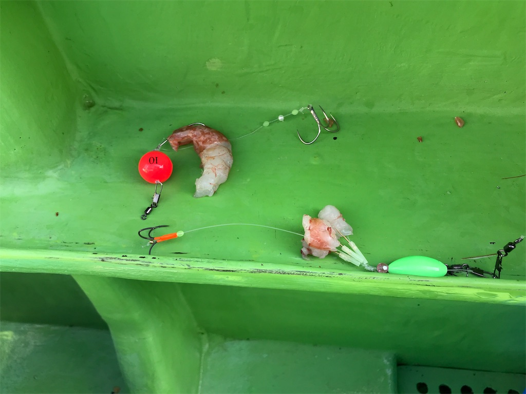 f:id:fishingandwine:20191122213541j:image