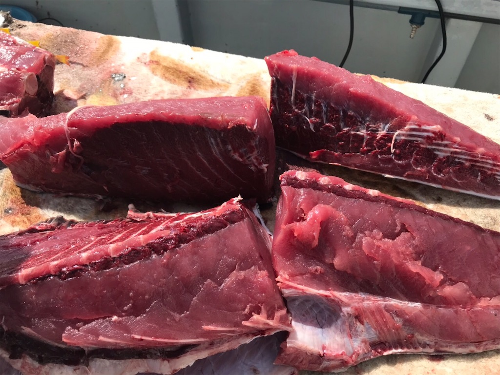 f:id:fishingandwine:20191123102725j:image