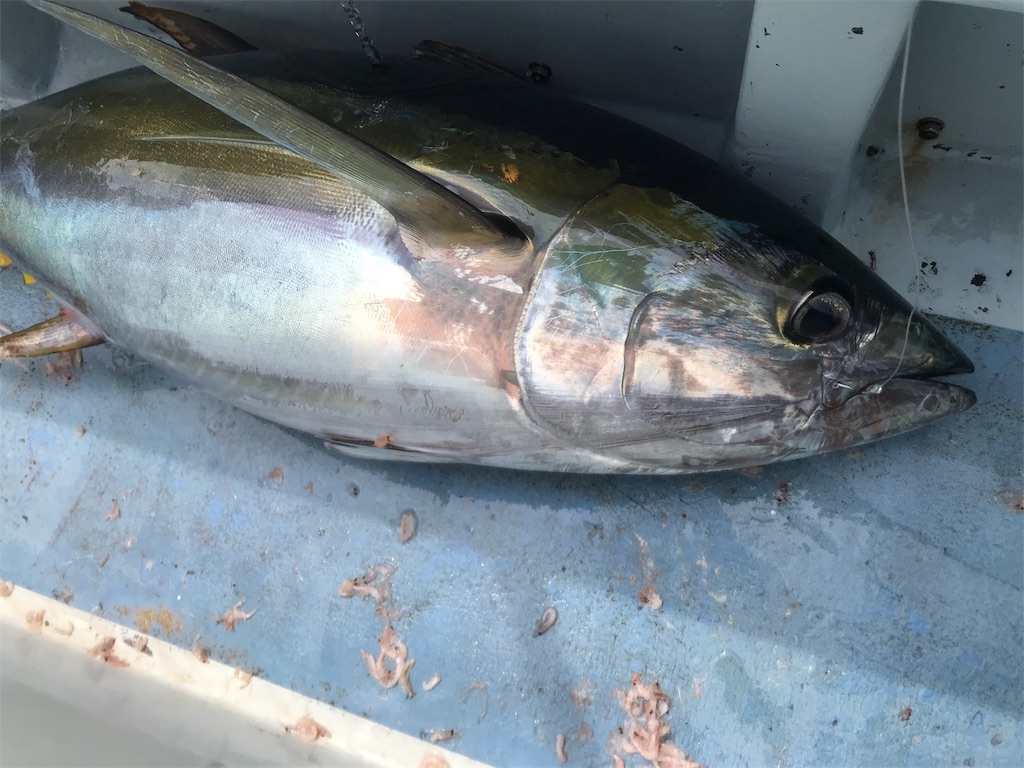 f:id:fishingandwine:20191123102728j:image