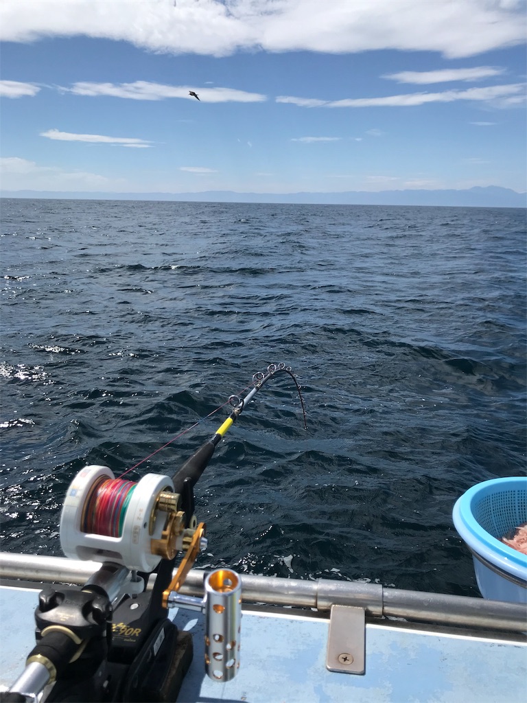 f:id:fishingandwine:20191123102731j:image