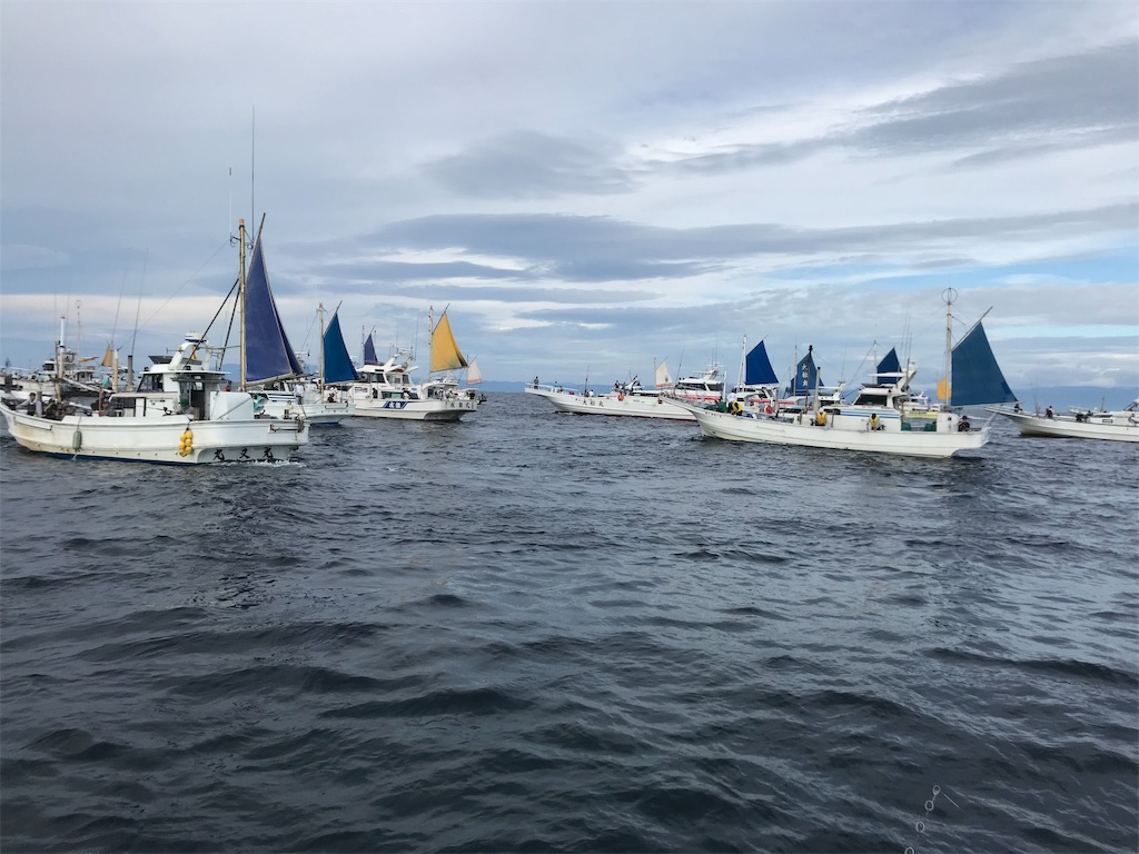 f:id:fishingandwine:20191123102734j:image