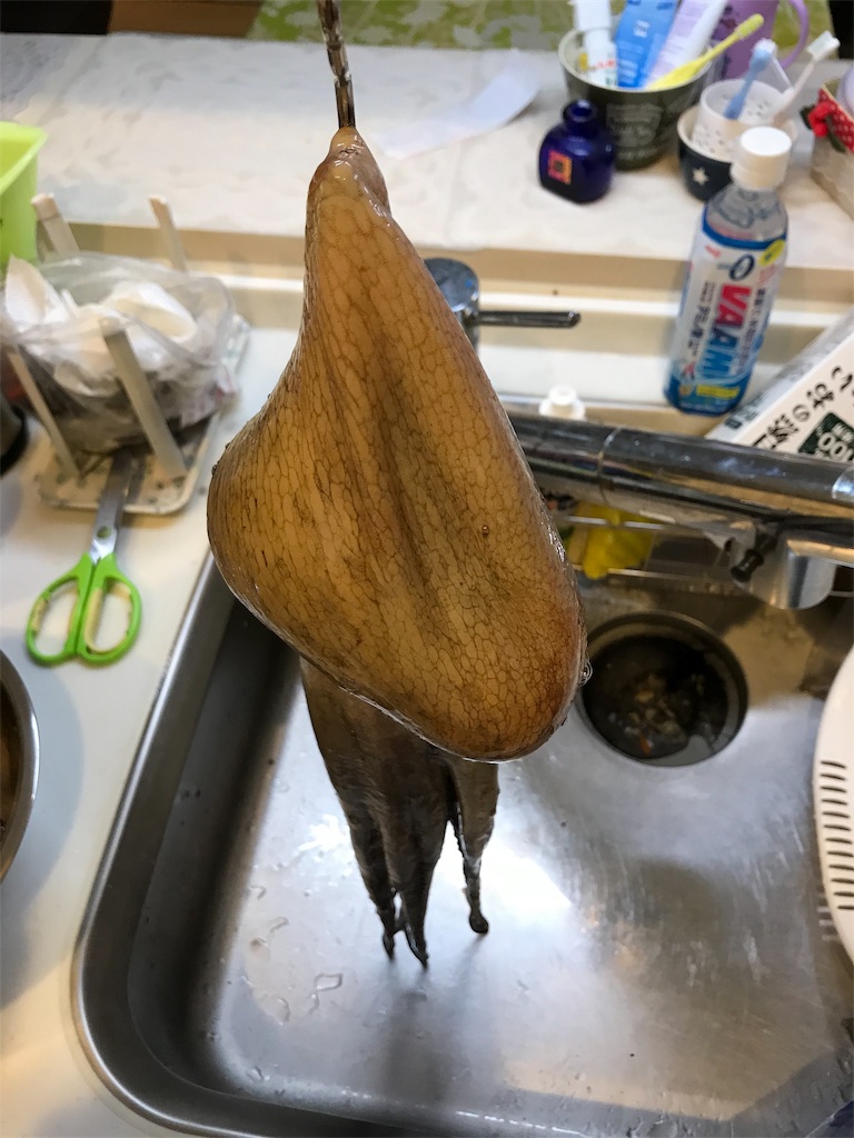 f:id:fishingandwine:20191123103018j:image