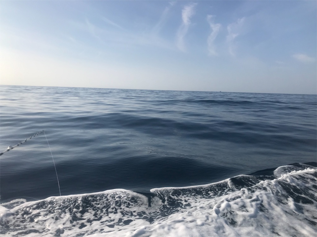 f:id:fishingandwine:20191123170452j:image