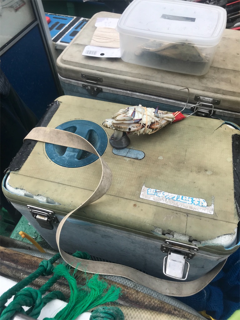 釣行記 19 6 22 ミナミ釣船 マダコ シロギス マゴチ アナゴ リレー 東京湾 相模湾の沖釣りのススメ