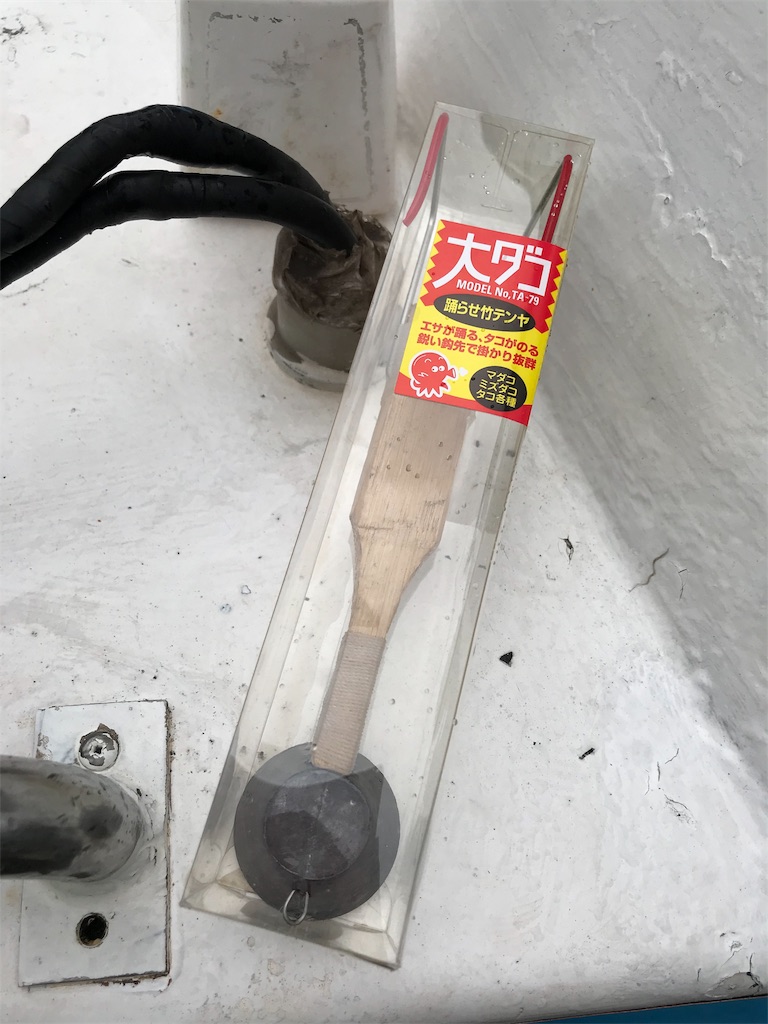 釣行記 19 6 22 ミナミ釣船 マダコ シロギス マゴチ アナゴ リレー 東京湾 相模湾の沖釣りのススメ