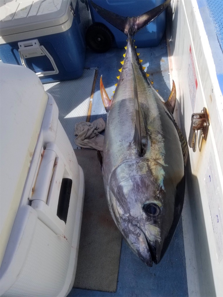 f:id:fishingandwine:20191130123034j:image
