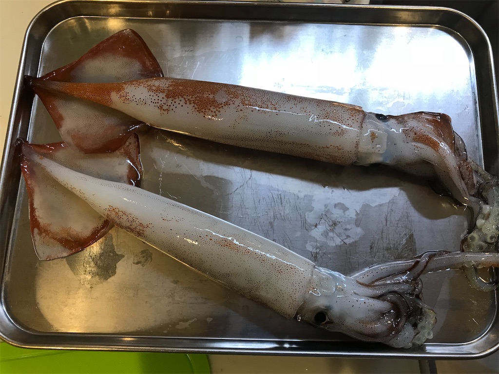 f:id:fishingandwine:20191223185123j:image