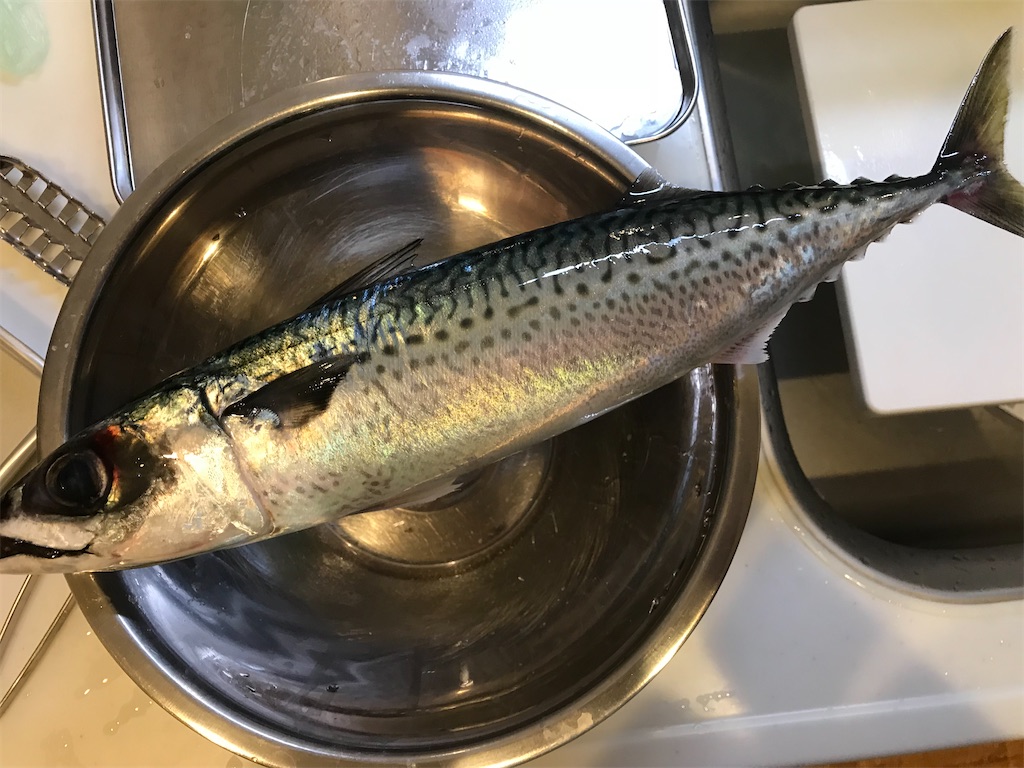 f:id:fishingandwine:20191223185137j:image