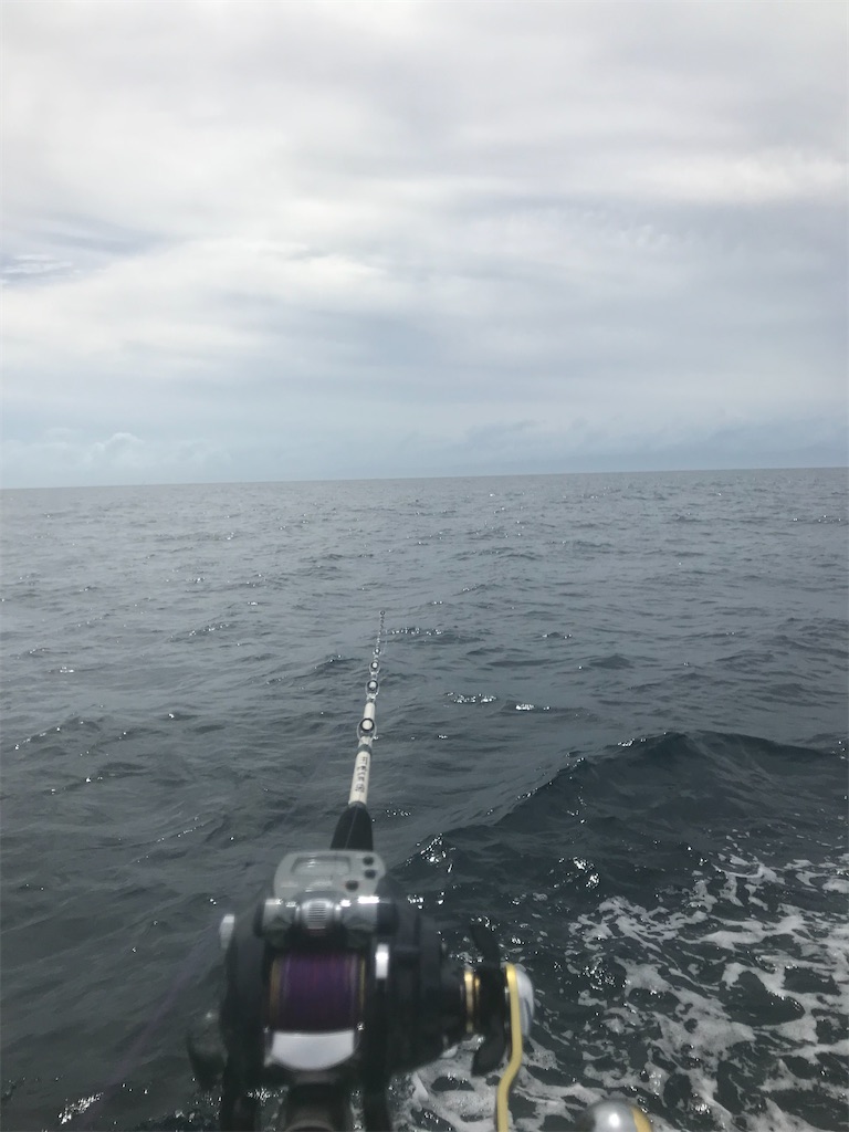 f:id:fishingandwine:20191223185147j:image