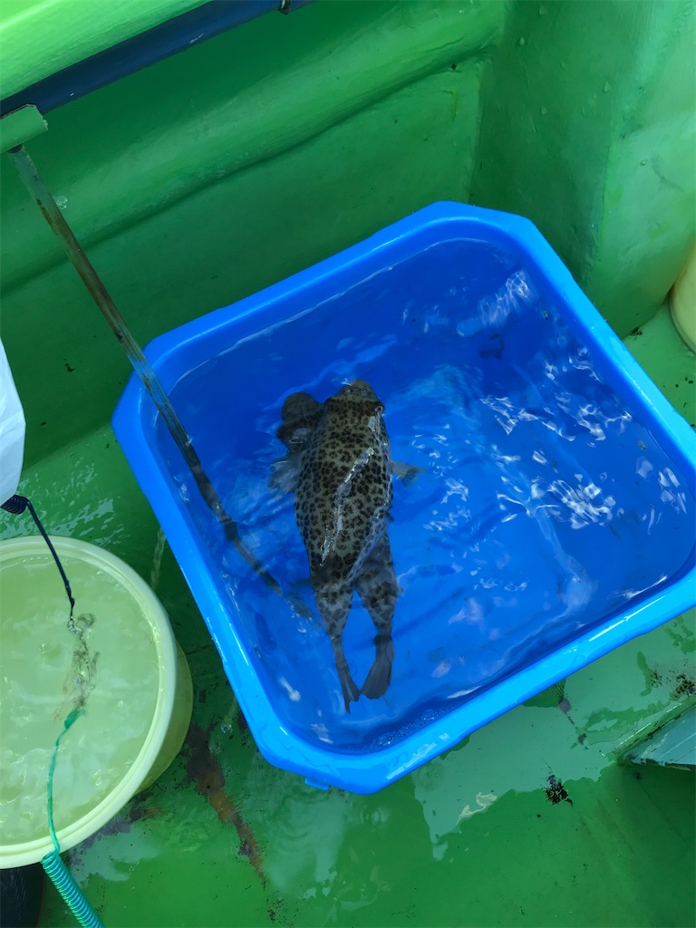 f:id:fishingandwine:20191223202020j:image f:id:fishingandwine:20191223202020j:image