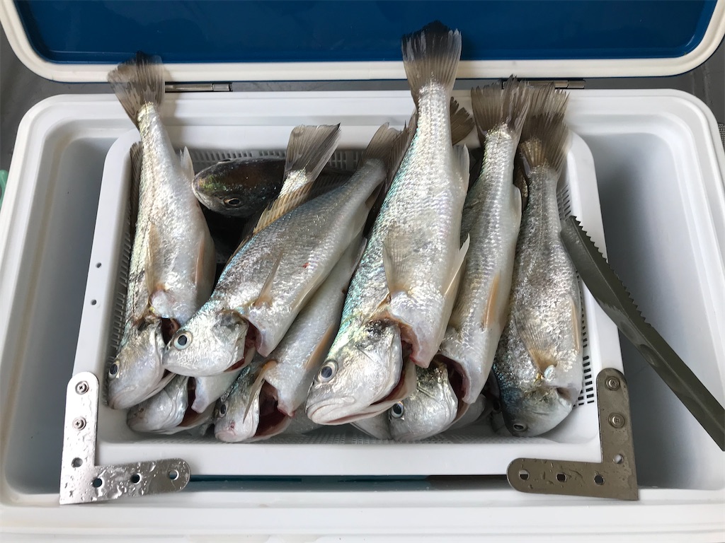 f:id:fishingandwine:20200213230251j:image