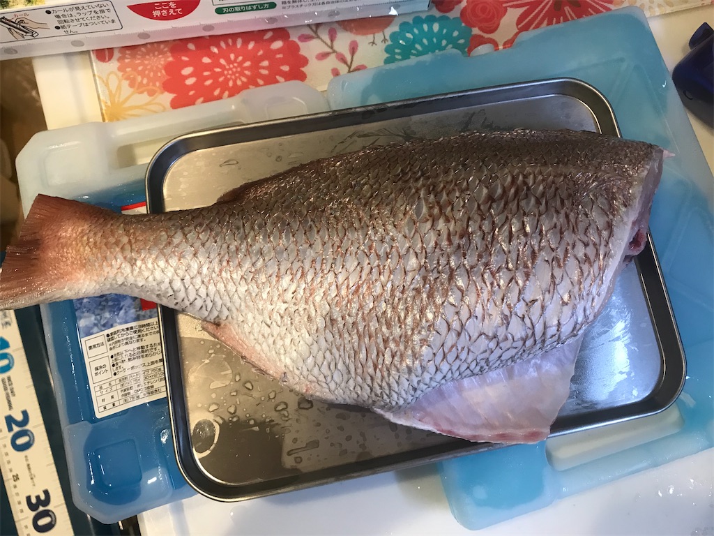 f:id:fishingandwine:20200613165331j:image